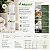 Kit 50 Shampoo Personalizado 35ml Wegreen – Sua Marca em Cada Detalhe - Imagem 5