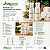 100 Kits Amenities Personalizado Wegreen – Sabonete Líquido 35ml + Hidratante 35ml - Imagem 6