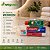 Kit Dental Wegreen Completo com Embalagem Transparente | 5 Itens - Imagem 3