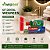 Kit Dental Wegreen Completo com Embalagem Transparente | 5 Itens - Imagem 4