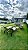 Kit Garden - Tricô Náutico - 7 Peças by DeckDecor - Imagem 5