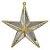 ENFEITE NATAL ESTRELA PENDURAR (DOURADO) 14cm (FLORARTE) Vol. 13 - Imagem 1