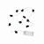 FIO DE LED  C/10 LUZES MOD. ARANHA - Imagem 1