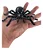 ARANHA PRETA- HALLOWEEN - Imagem 2
