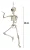 ESQUELETO DECOR - Imagem 2