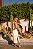 Vestido Femiino Midi Branco Laise Graceful - Imagem 4