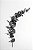 Ramo de Folhas - Imagem 2