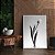 Tulipa Branca - Imagem 1