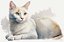 Gato Deitado em Aquarela - Imagem 2