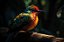 Martins Pescador - Imagem 2