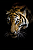 Tigre Penunbro - Imagem 3