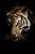 Tigre Penunbro - Imagem 2