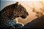 Leopardo Deitado - Imagem 2