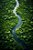 Rio Furioso - Imagem 3