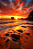O Entardecer - Imagem 3
