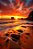 O Entardecer - Imagem 2