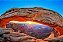 Beleza Selvagem do Canyon - Imagem 2