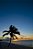 Amanhecer na Praia - Imagem 2