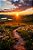 Montanhas Floridas - Imagem 2
