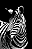Zebra - Imagem 2