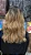 Lace front Vanessa TT6/23C - Imagem 3