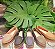 MOCASSIM COURO CONFORT ADH903  VERDE MUSGO - Imagem 4