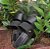 TAMANCO CONFORT 396930 PRETO/PRETO
PALMILHA ACOLCHOADA - Imagem 3