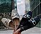 MULE 2640 OFF WHITE - Imagem 8