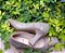 SCARPIN 540012 NUDE / TAUPE TEXTURIZADO / RECORTES NUDE LISO - Imagem 6