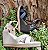 SANDÁLIA  ANABELA VIA UNO 421039 OFF WHITE / CONTORNO CORDA E PEDRAS CRISTAL - Imagem 5