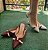 SCARPIN SLINGBACK 23743 MARSALA / TIRAS OFF WHITE - Imagem 4