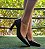 SCARPIN EM COURO 223730 PRETO EGEU - Imagem 1
