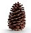 Pinha Natural - Imagem 1
