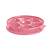 Tupperware Petisqueira Aloha Rosa - Imagem 4