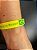 CISV-PULSEIRA-YELLOW-2025 - Imagem 1