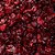 Cranberry Desidratado - Imagem 1