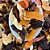 Mix de Frutas Desidratadas - Imagem 1