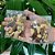 Kit Mix de Nuts (20x30g) - Imagem 3