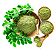 Moringa em pó - Imagem 1