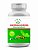 Encapsulado Ashwagandha - Ginseng Indiano (60 caps) Seiva Real - Imagem 1