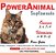 PowerAnimal Para Gatos - Elimina a queda de pelos - 600 ml - c/ Omegas 3,6,7 e 9 + Vitaminas A, B, D e E - PROD. NATURAL - CADA 5 Kg - 1 ml. - VALIDADE 2 ANOS - - Imagem 3