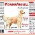 Power Animal - Raças Grandes - Uso Profissional 100 ml - com Omegas 3,6,7 e 9 + Vitaminas A, B, D e E - PROD. NATURAL - CADA 5 Kg - 3 ml. - VALIDADE 2 ANOS - ELES ADORAM ! - Imagem 2
