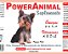 PowerAnimal - Pequeno Porte - 600 ml - c/ Omegas 3,6,7 e 9 + Vitaminas A, B, D e E - PROD. NATURAL - CADA 5 Kg - 2 ml. - VALIDADE 2 ANOS - ELES ADORAM ! - Imagem 2