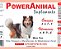 PowerAnimal Dog Plus - Médio Porte - 240 ml - c/ Omegas 3,6,7 e 9 + Vitaminas A, B, D e E - PROD. NATURAL - CADA 5 Kg - 2 ml. - VALIDADE 2 ANOS - ELES ADORAM ! - Imagem 3