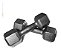 Halter Par 10 Kgs  Musculação Anilhas Dumbell Fitness - Imagem 1