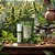 Gel Excitante Breeze com Jambu e Terpenos 15g – Feitiços - Imagem 2