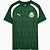 Nova Camisa Palmeiras Pré-Jogo Verde Torcedor Masculina 2024 / 2025 - Imagem 1