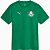 Nova Camisa Palmeiras Treino Verde Torcedor Masculina 2025 / 2026 - Imagem 1