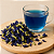 Chá Fada Azul – Antioxidante Natural para Memória, Relaxamento e Beleza - Imagem 3