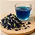 Chá Fada Azul – Antioxidante Natural para Memória, Relaxamento e Beleza - Imagem 2